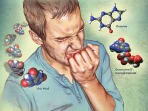 Самопоедание