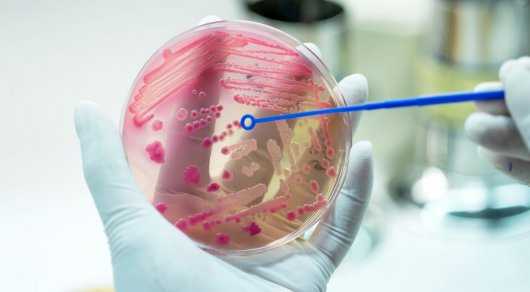 синдром уотерхауса фридериксена