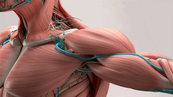 Синдром Наффцигера: лечение без операции в Ярославле