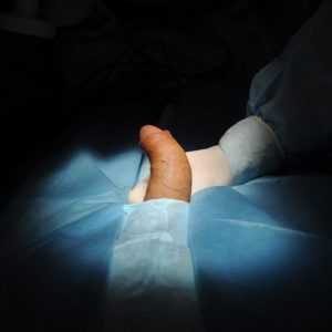 %d1%84%d0%be%d1%82%d0%be00015