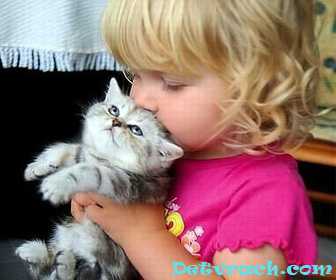 Синдром Висслера—Фанкони