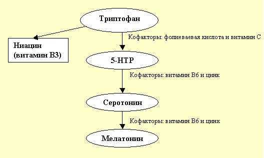 Метаболизм триптофана
