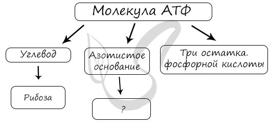 Задание ЕГЭ по биологии
