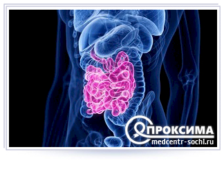 Тонкий кишечник