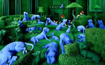 Галлюциноз - Веримед