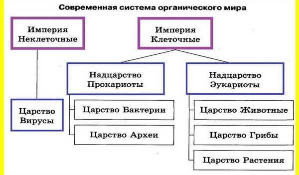 система органического мира