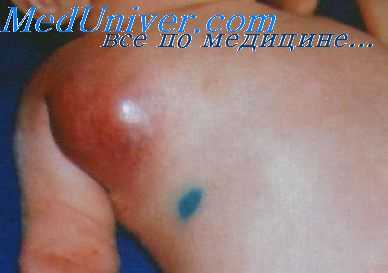 антибиотики в ветеринарии