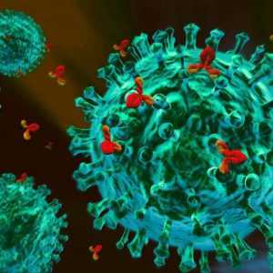 Нейтрализация антигена