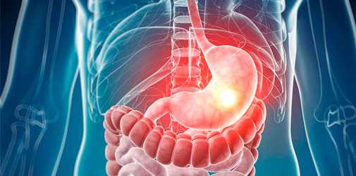 Воздействие спиртного на ЖКТ - Алкоклиник