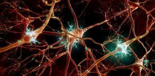 Действие эталола на нервную сиситему - Алкоклиник