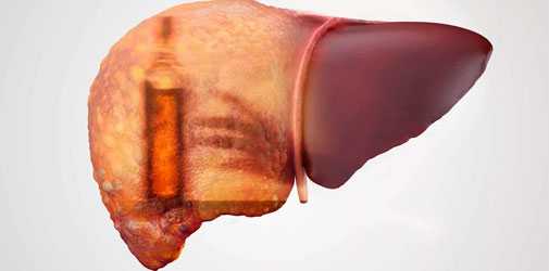 Метаболизм этанола в печени - Алкоклиник