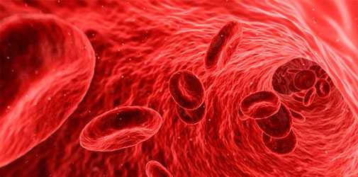 Метаболизм этанола - Алкоклиник