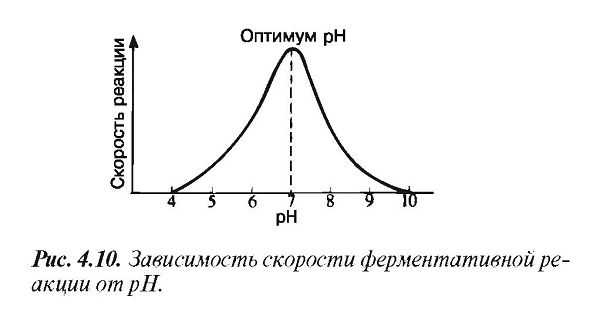 Факторы, влияющие на скорость ферментативных реакций
