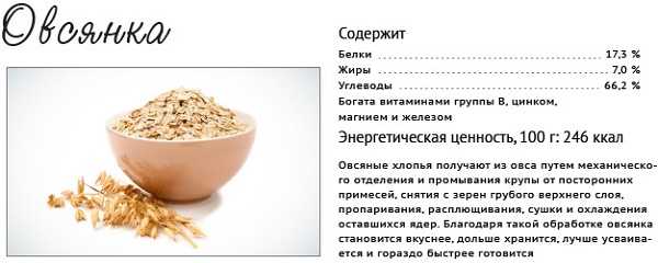 Скрабы для кишечника из овсянки для похудения. Польза, рецепты, как готовить и применять