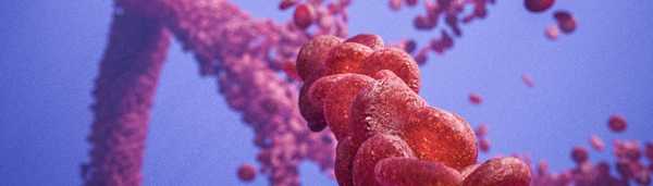 Клинический случай лечения поверхностного тромбофлебита (уникальный по своей неповторимости)