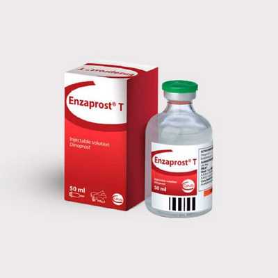 Энзапрост Т