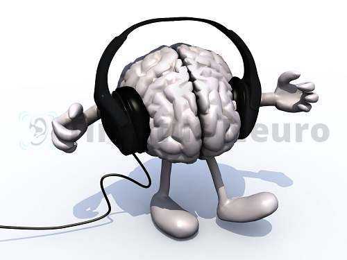 Мозг интерпретирует те звуки, которые транслирует в него ухо