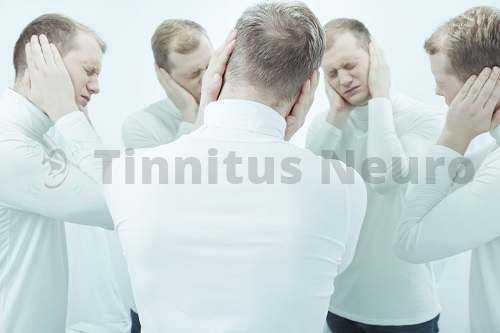 Нейроны слухового анализатора отвечают за адаптацию