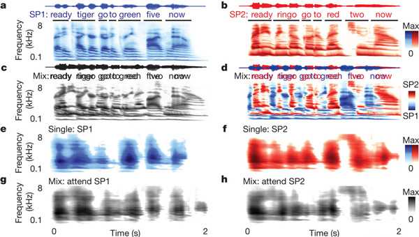 Примеры осциллограмм и спектрограмм и реконструкции спектрограмм, сделанные компьютерной программой по данным о работе нейронов слуховой коры
