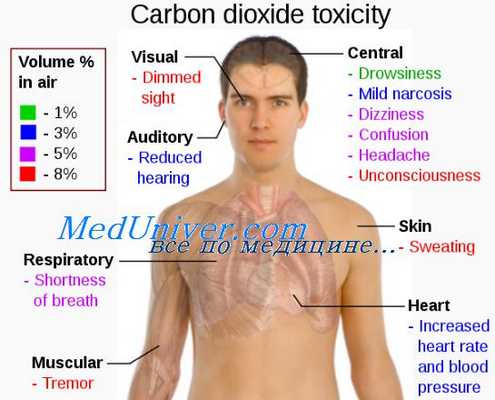 физическая нагрузка в токсикологии