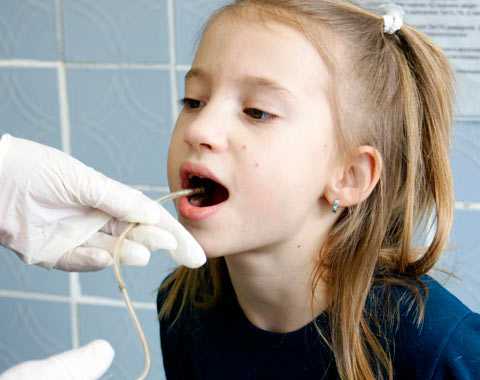 Исследование кислотности желудка