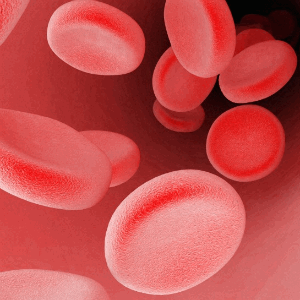 Что нужно знать о составе крови