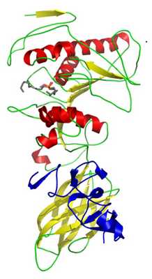 Панкреатическая липаза в комплексе с колипазой