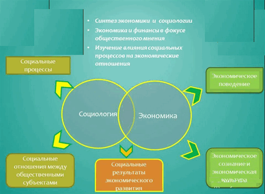 Что исследуют социально-экономические НИР?