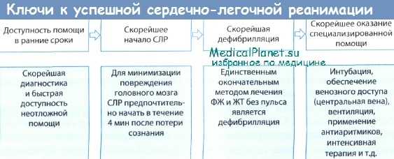 Ключи успешности сердечно-легочной реанимации