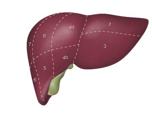 операции на печени