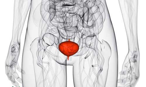 Повреждения мочевого пузыря