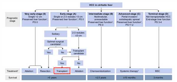 Европейские рекомендации.jpg
