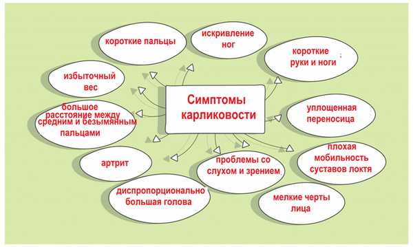 Симптомы карликовости.jpg