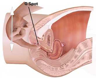 Как стимулируют G-spot