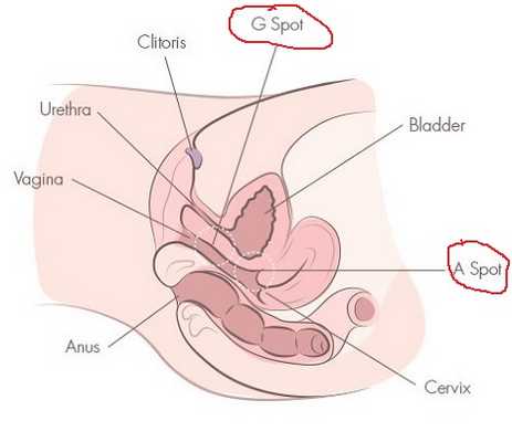 Выделения у девушки