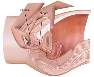 Где расположены клитор и точка джи