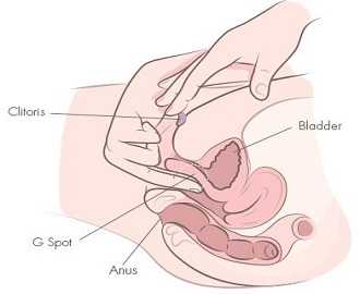 Фото совместной стимуляции клитора и точки джи