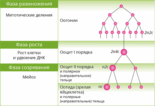 3 (47).png