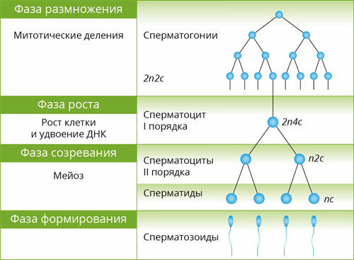 2 (46).png