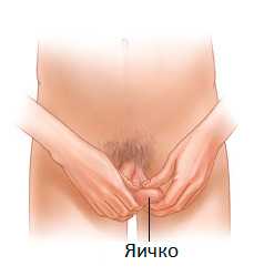 Самообследование