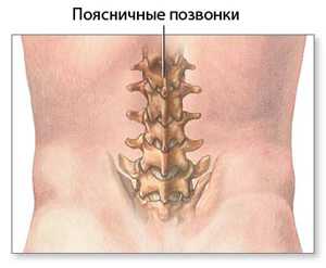 Люмбальную пункцию производят в промежутках между остистыми отростками L3-L4 или L4-L5 позвонков.