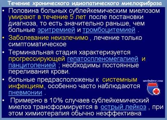 прогноз хронического идиопатического миелофиброза
