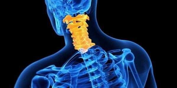 Спондилез лечится только на ранних стадиях, поэтому важно знать симптомы и вовремя принять меры по спасению позвоночника