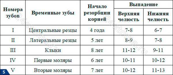Когда выпадают молочные зубы у детей: схема