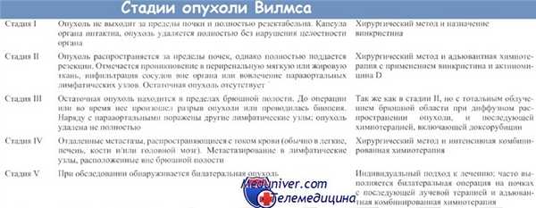 Опухоль Вильмса