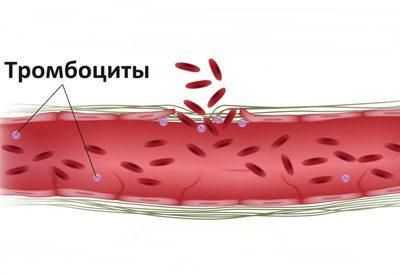 Свертываемость крови