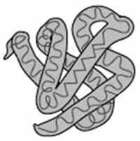 Гемоглобин