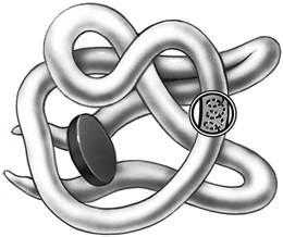 Гемоглобин