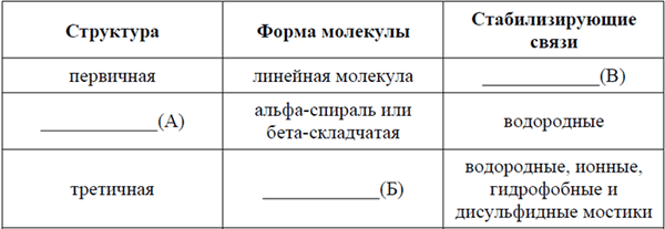 Первичная структура