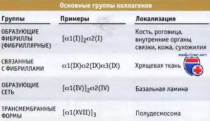 Группы коллагенов